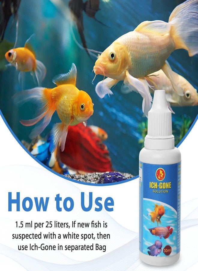 رعاية الحيوانات الأليفة الدولية بيت كير إنترناشونال، دواء لعلاج البقع البيضاء في أحواض السمك || مكافحة البقع البيضاء من أجل صحة أسماكك || عبوة من قطعتين || 30 مل - Image 3